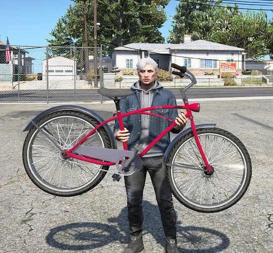 Carry Bike
