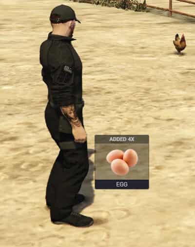 Chicken Harvest Script (ox_lib / ox_inventory)