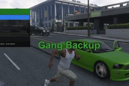 Gang Backup