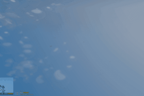 Aquatic Animals Blips