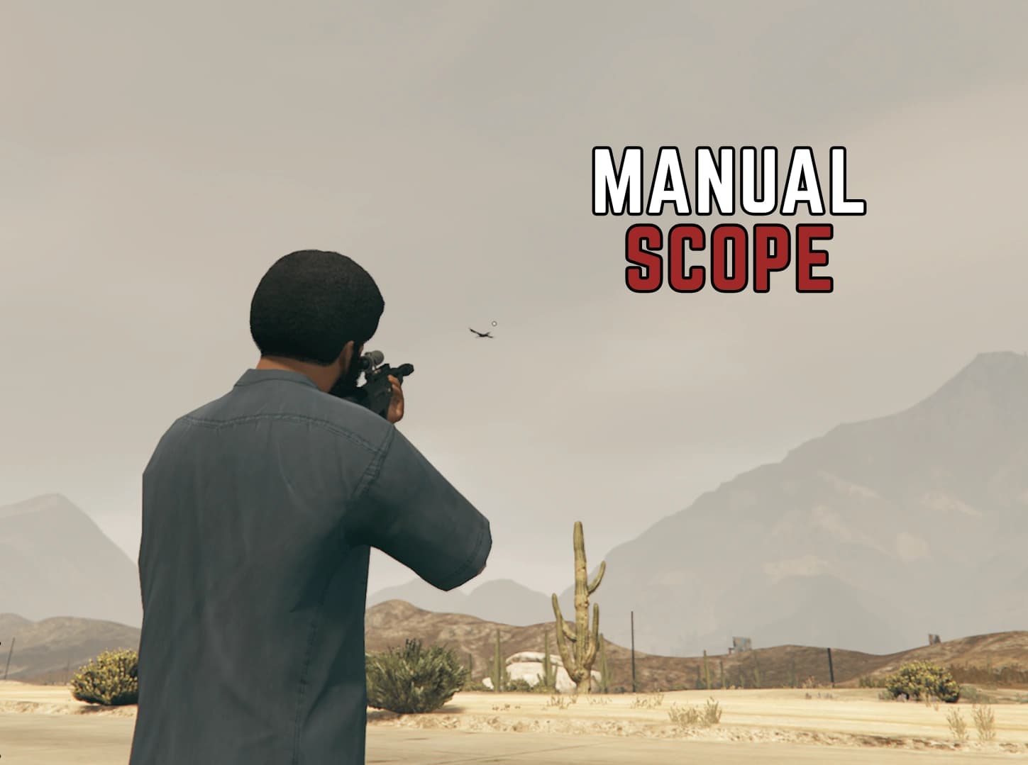 Manual Scope