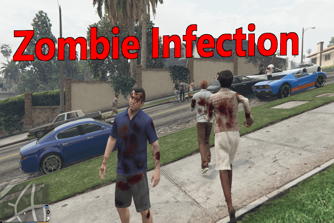 The Zombie Infection