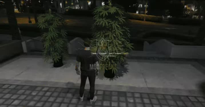 Marijuana Dope Plant Script product preview for esx FiveM servers