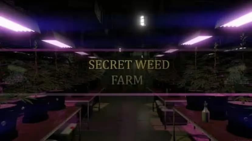 Secret Weed farm MLO product preview for esx FiveM servers