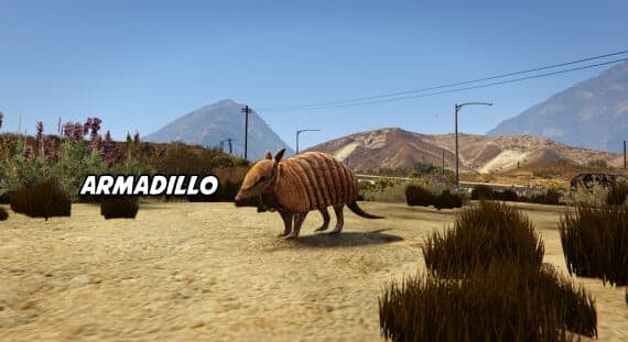 Armadillo - Addon Animal Ped