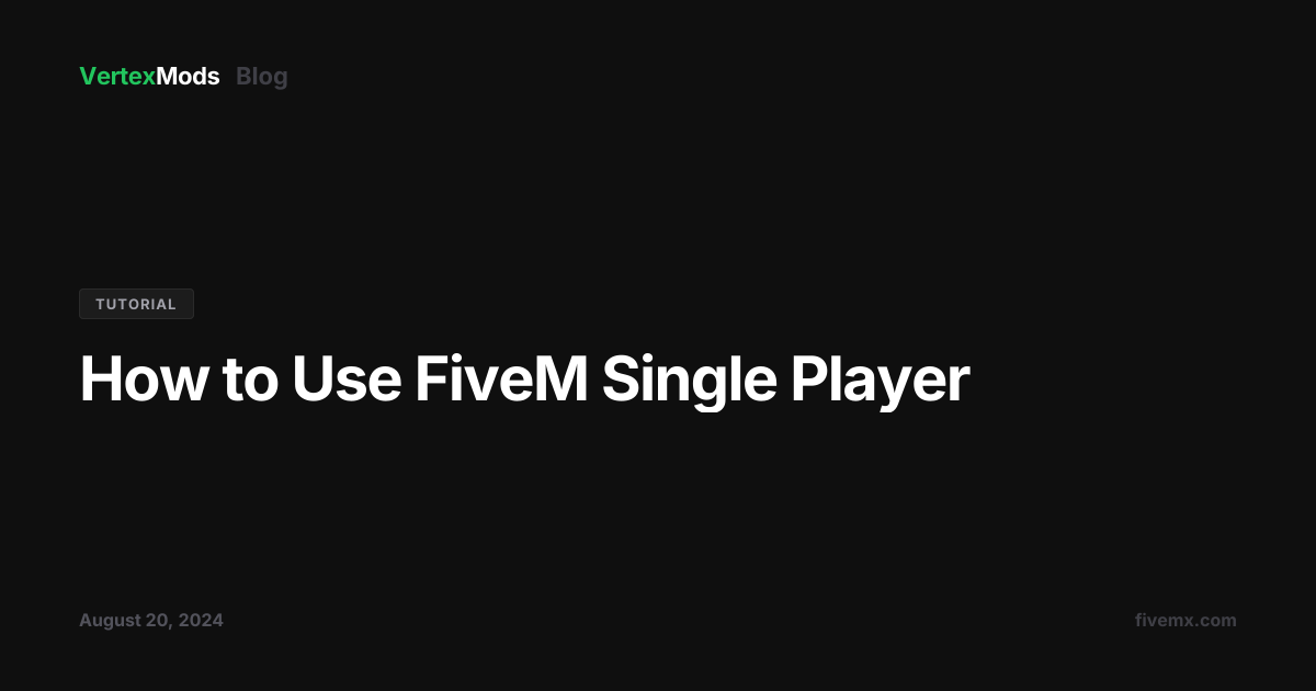 How to Use FiveM Single Player