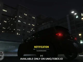 Vehicle Registration Script FiveM resource preview