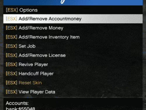 Aperçu des ressources du plugin ESX pour EasyAdmin FiveM