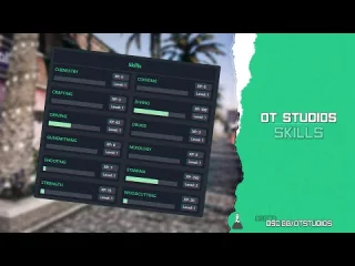 Skill System for FiveM