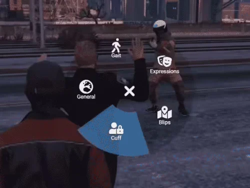 NoPixel Menu Script