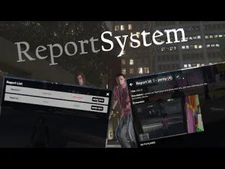 Report