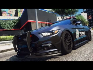 NP Interceptors