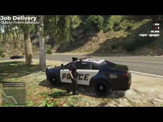 Delivery Job