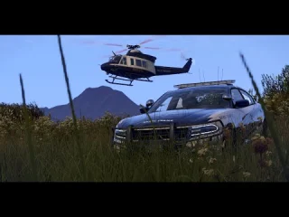 Police cars