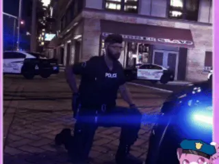 FiveM PD Animations preview