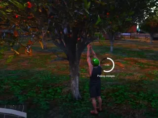 [ESX] Fruit Picker Job FiveM resource preview