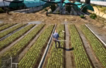 [ESX] Aperçu de la ressource FiveM « Emploi d'agriculteur »