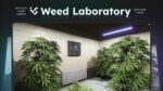 Aperçu de la ressource FiveM Weed Laboratory (QB)