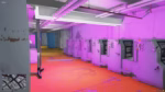 Cyberpunk Laundry FiveM resource preview 2